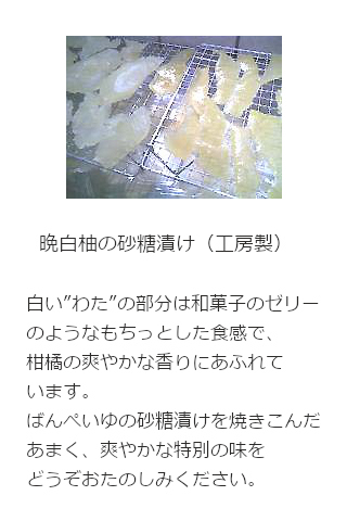 晩白柚（ばんぺいゆ）のパウンドケーキ写真5